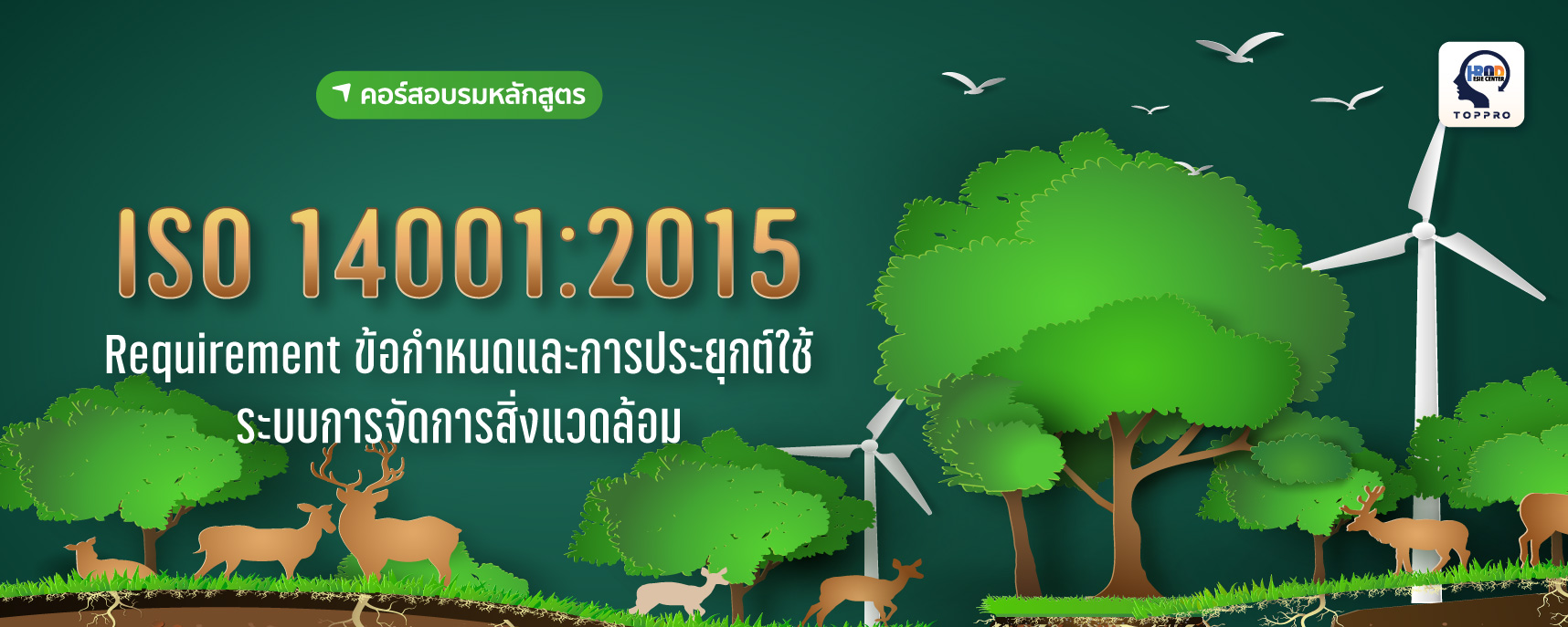 ISO 14001 : 2015 Requirement ข้อกำหนดและการประยุกต์ใช้ระบบการจัดการสิ่งแวดล้อม