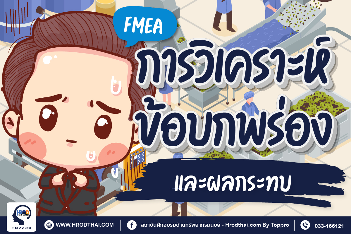 การวิเคราะห์ข้อบกพร่องและผลกระทบ (Failure Mode and Effects Analysis - FMEA)