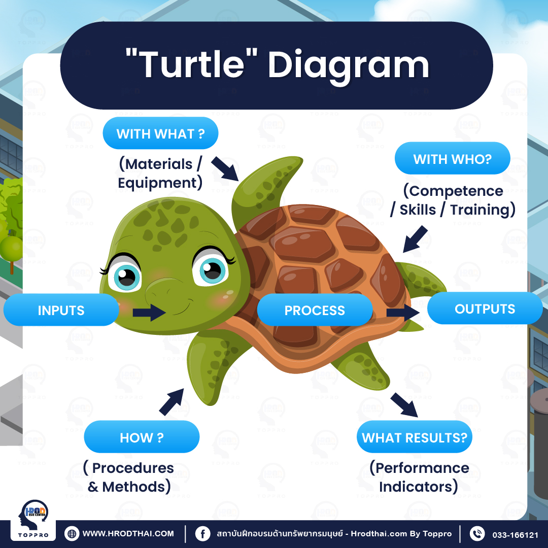 Turtle Diagram